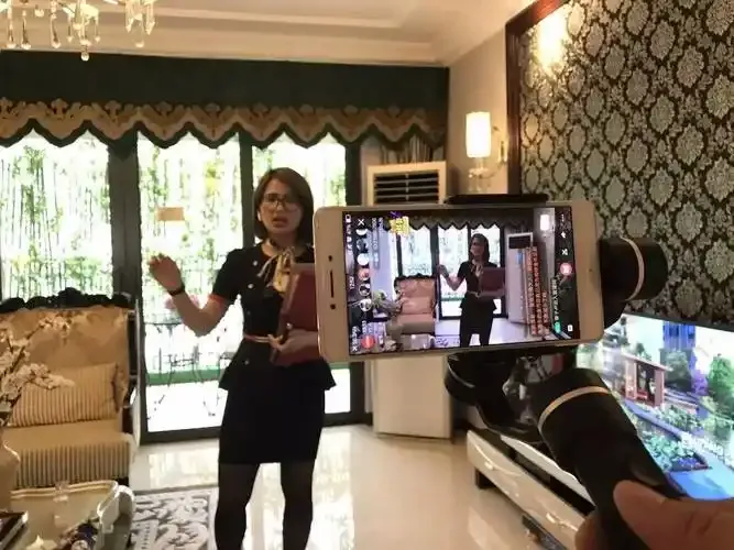 24小时b站十大直播间画面展示图三
